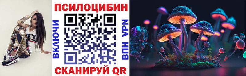 Псилоцибиновые грибы Psilocybine cubensis  Купить закладки  Абинск 